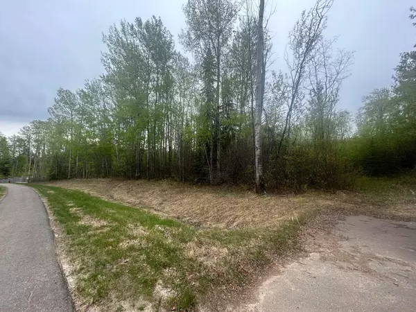 Conklin, AB T0P 1H0,123 Poplar Drive Rr DR