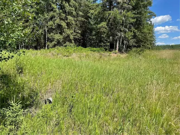 Rural Athabasca County, AB T9S 2B5,221054 670 Township