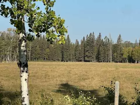 Rural Mountain View County, AB T0M 1X0,SE 3-33-5 W5