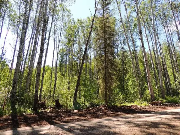 Rural Grande Prairie No. 1, County Of, AB T0H 1J0,Lot #36 Wapiti River SW-21-69-10-W6
