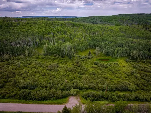 Rural Foothills County, AB T0L 0C5,162148 1368 DR W