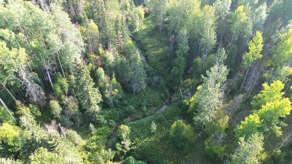 Rural Woodlands County, AB T7S 1N4,120053 Range Road 121 #7