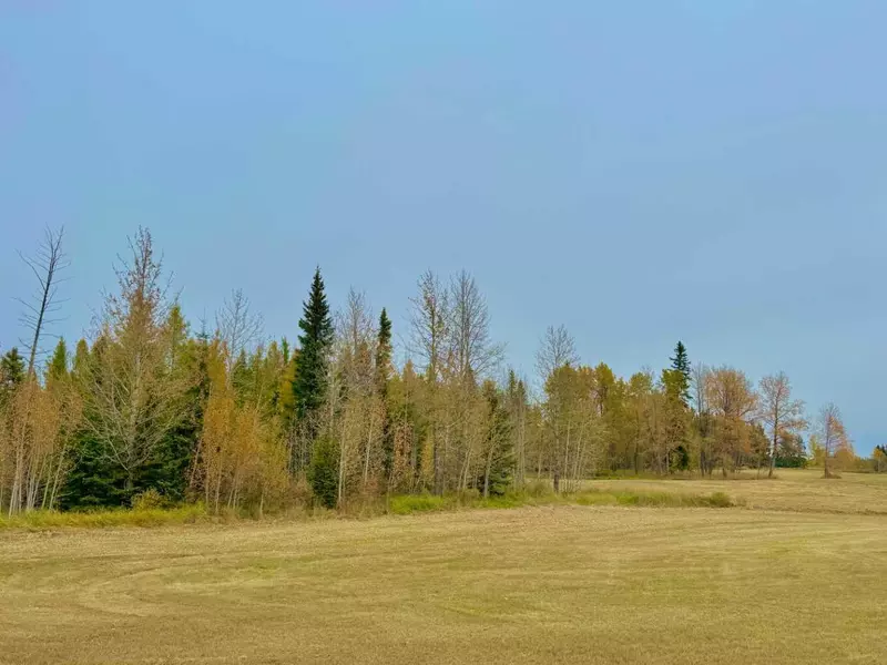 416 Valley View Close, Rural Clearwater County, AB T4T 1A7
