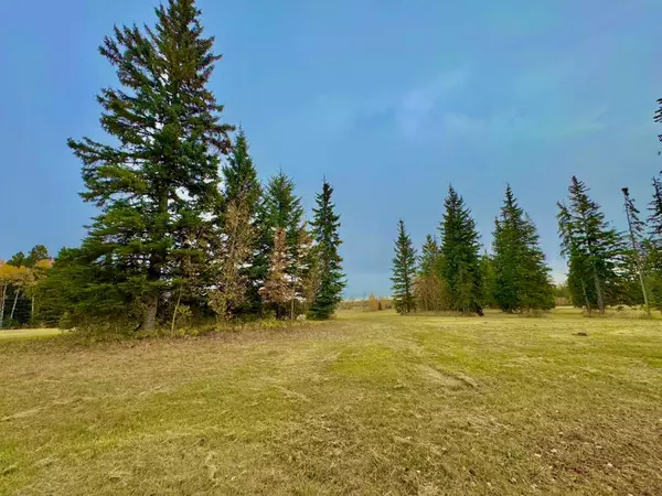 Rural Clearwater County, AB T4T 1A7,308 Valley View DR