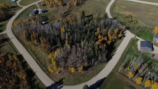 Rural Ponoka County, AB T0B 0H0,15015 Township Road 424 Township #4