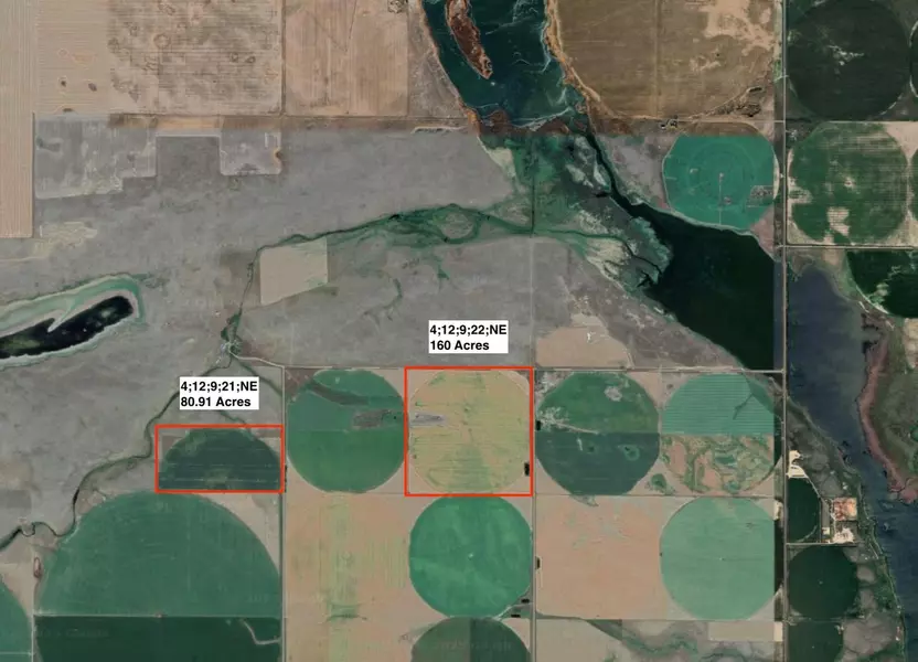 4;12;9;21;NE, Rural Forty Mile No. 8, County Of, AB T0K0G0