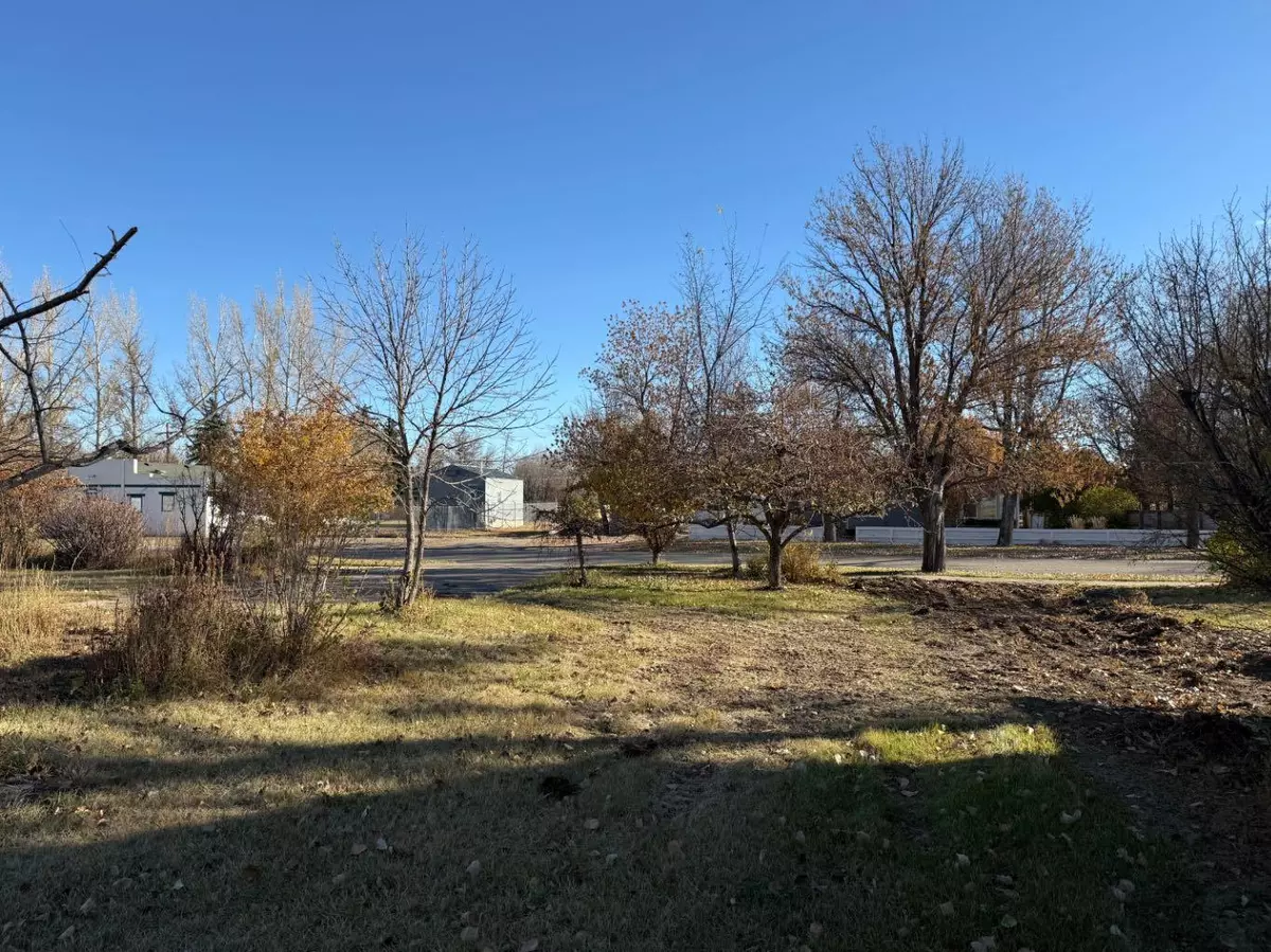 Carmangay, AB T0L0N0,410 Grand AVE