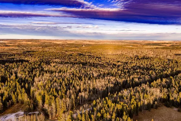 Rural Mountain View County, AB T0M 2E0,Water Valley Twp Rd 294A