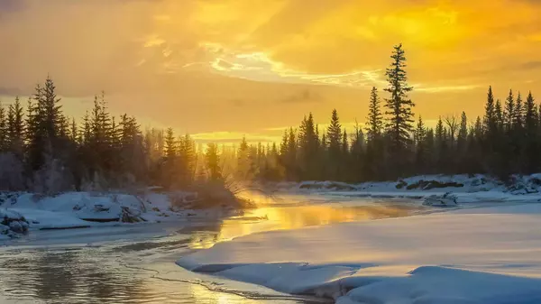 Calgary, AB T3H4N6,33 Discovery Rise SW