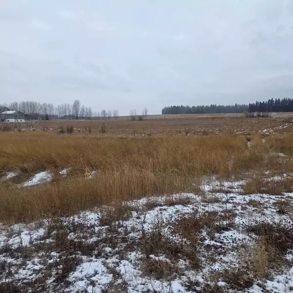 Rural Yellowhead County, AB T7E 3L7,Lot 3 Range Road 175