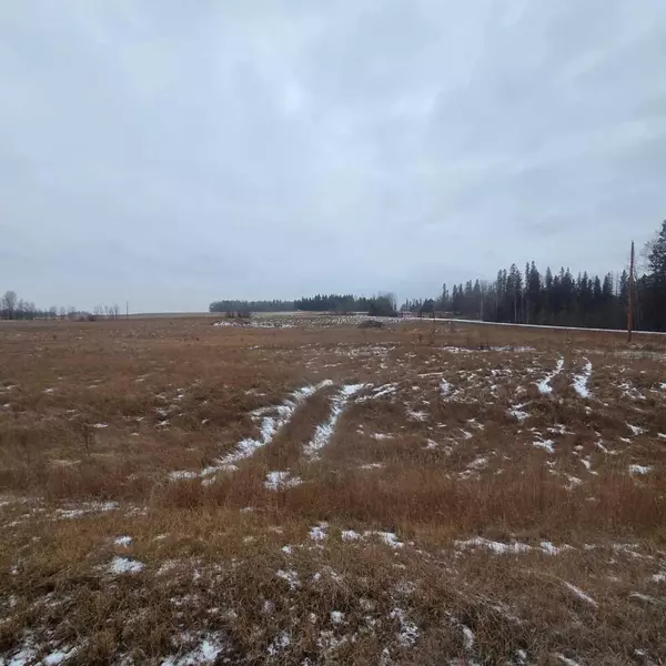 Rural Yellowhead County, AB T7E 3L4,Lot 4 Range Road 175