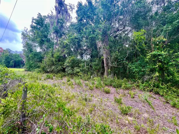 Keystone Heights, FL 32656,0 COUNTY ROAD 214