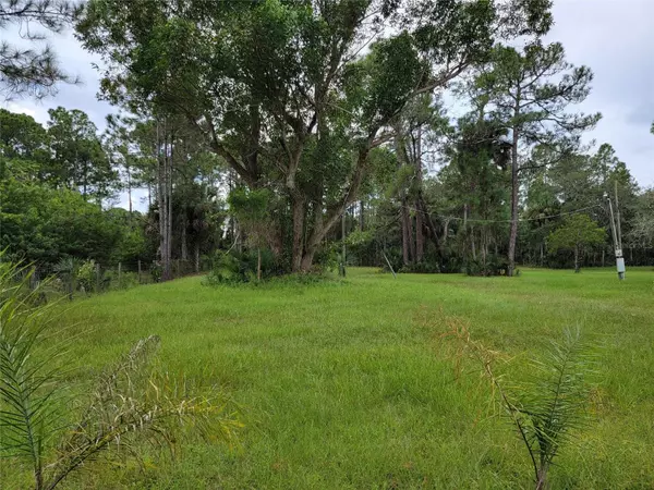 Geneva, FL 32732,1750 PERCH CT
