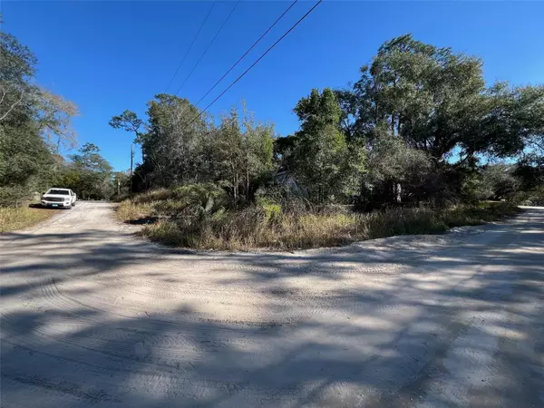 Fort Mc Coy, FL 32134,24955 NE 131ST PL