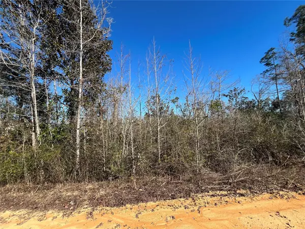 SEASHORE AVE, Alford, FL 32420