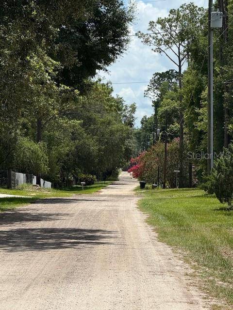 TBD OHIO RD, Altoona, FL 32702