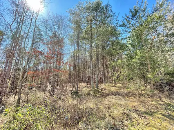 629 Old Buffalo Church Rd, Blacksburg, SC 29702