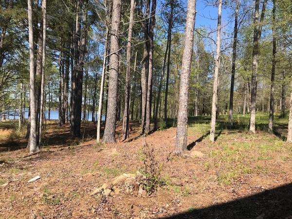 Greenwood, SC 29649,142 King Circle (Lt 22)