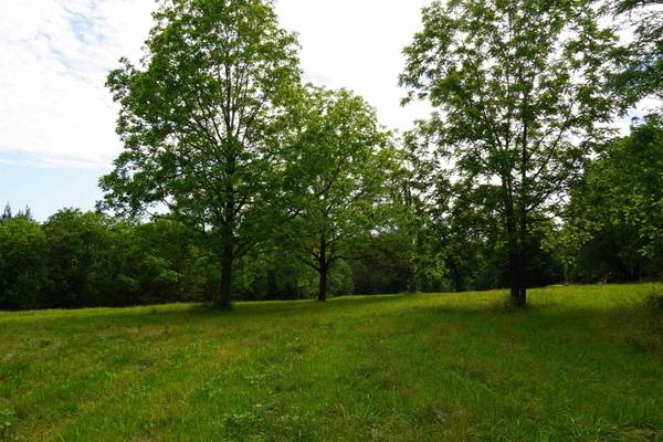 1319 Walnut Grove Pauline Rd., Pauline, SC 29374