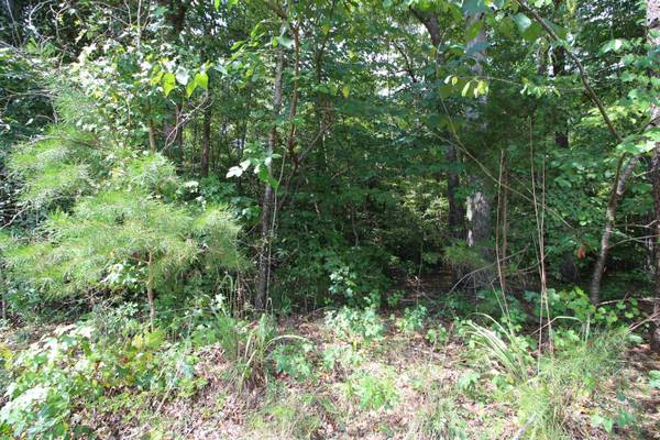 Wellford, SC 29385,230 NORTHWOOD CIR