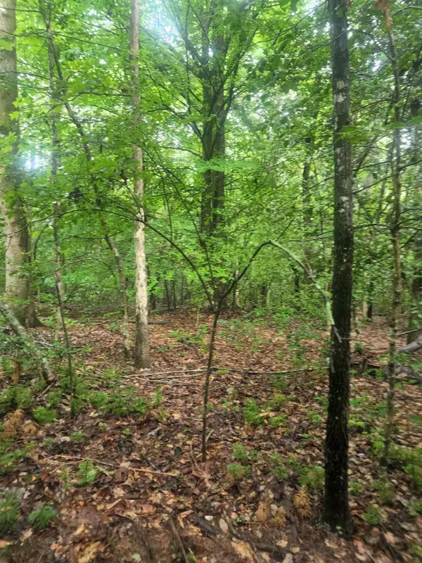 Dacusville, SC 29661,TBD Hamilton Rd