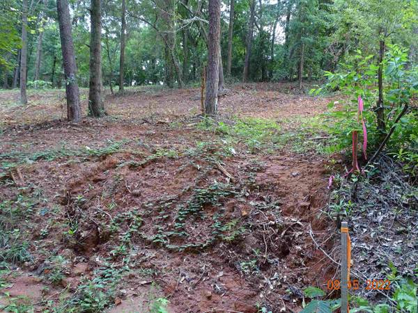 Wellford, SC 29385,0 Blue Springs Drive