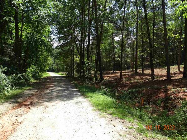 0 Blue Springs Drive, Wellford, SC 29385