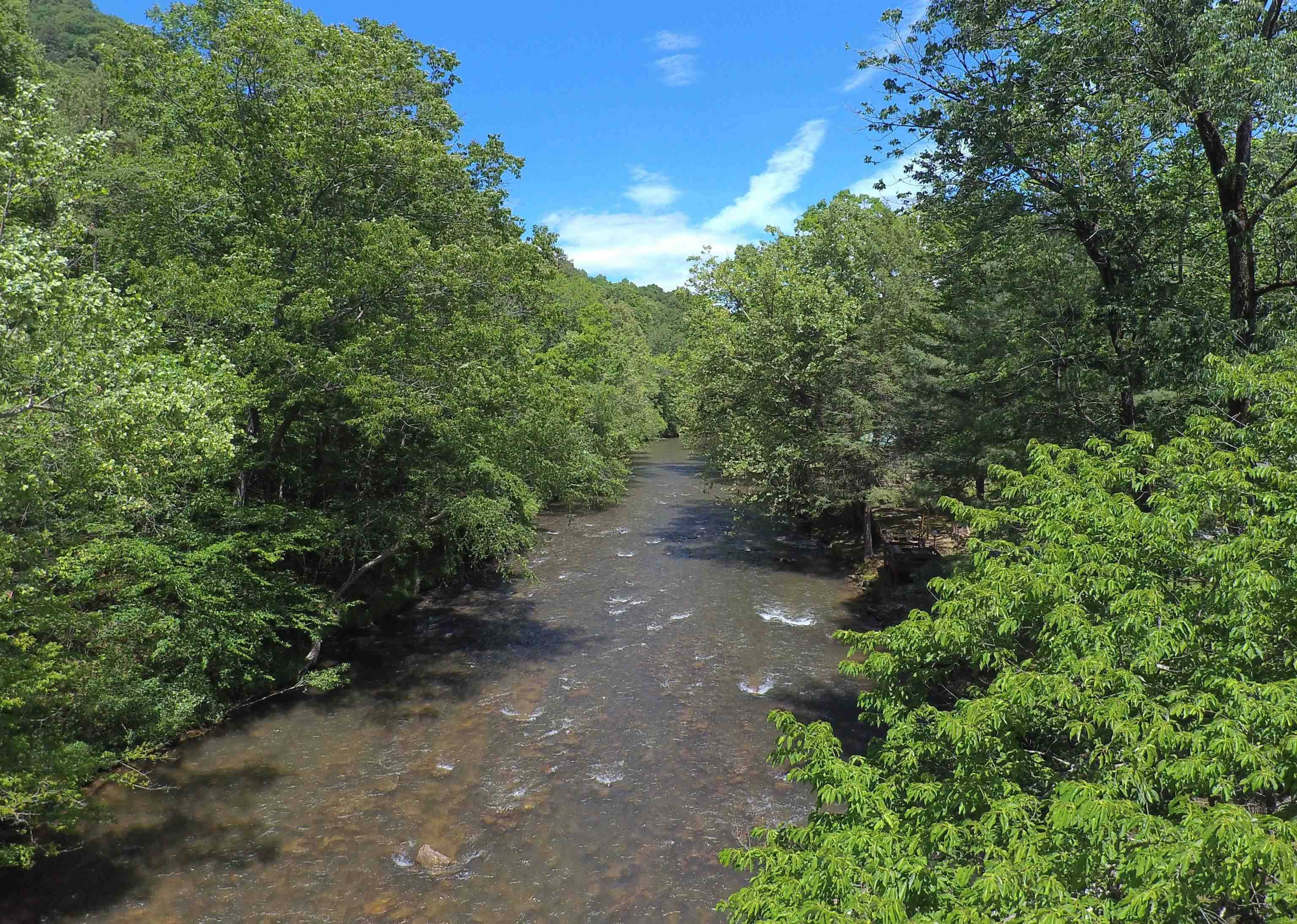 Saluda, NC 28773,2741 Green River Cove Rd