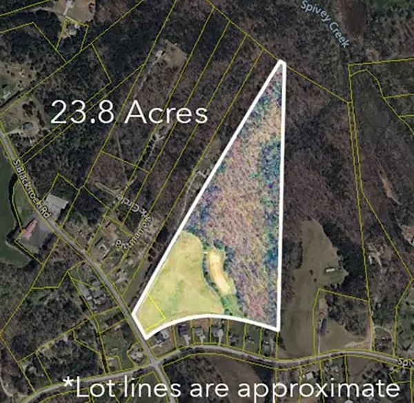 1035 S Blackstock Road, Landrum, SC 29356