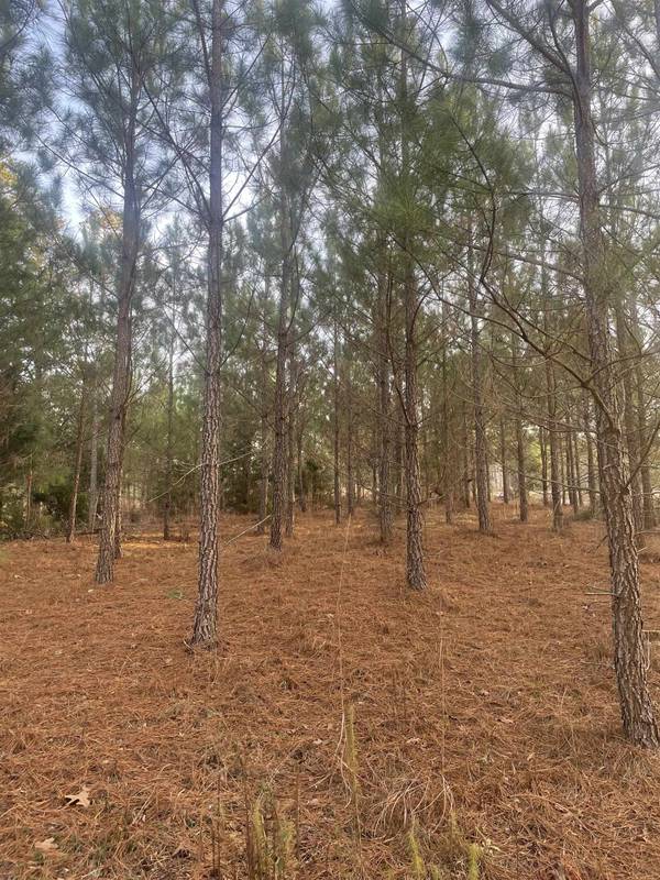 Pauline, SC 29374,735 Gwinn Mill RD