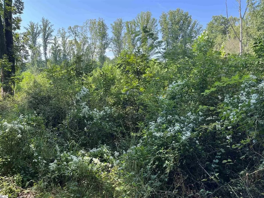 Wellford, SC 29385,00 Tucapau RD