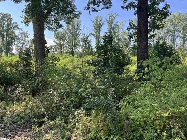 Wellford, SC 29385,00 Tucapau RD
