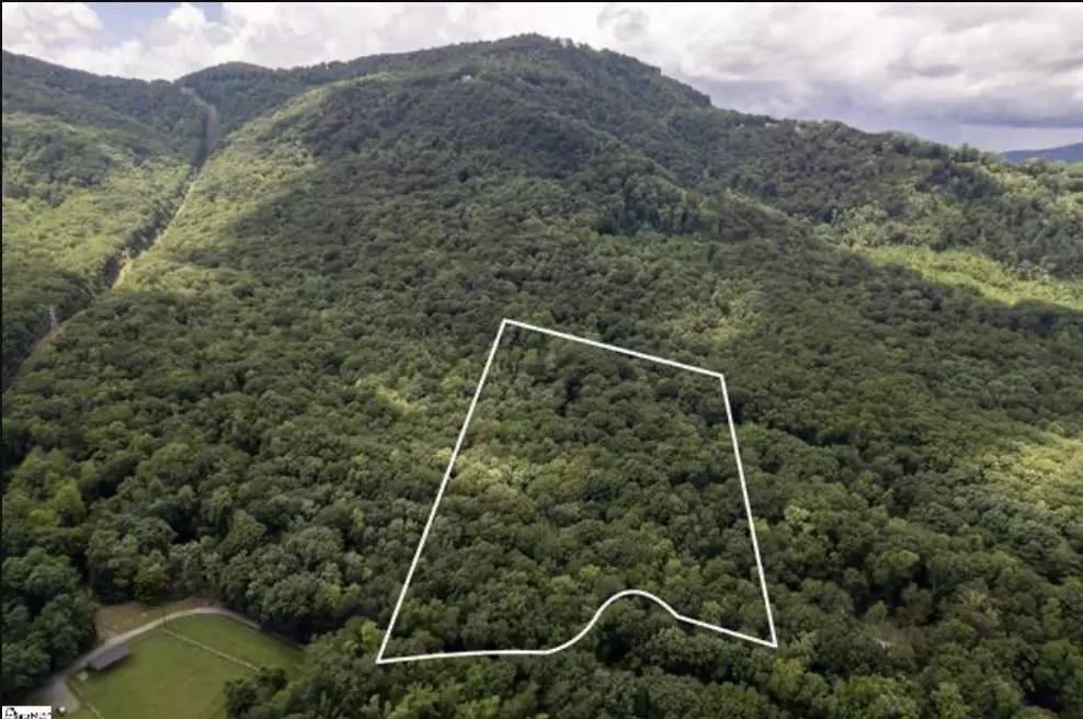 Landrum, SC 29356,0 Pink Campbell Rd