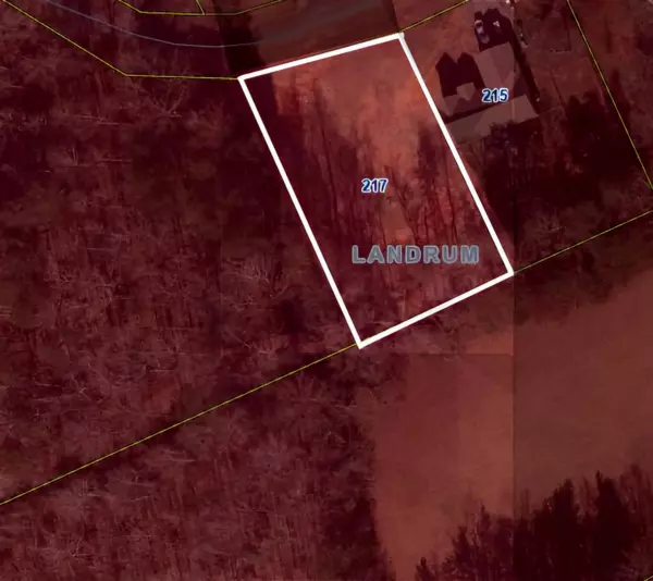 217 S Johnson ST, Landrum, SC 29356