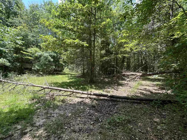 Chesnee, SC 29323,171 Henderson TRL