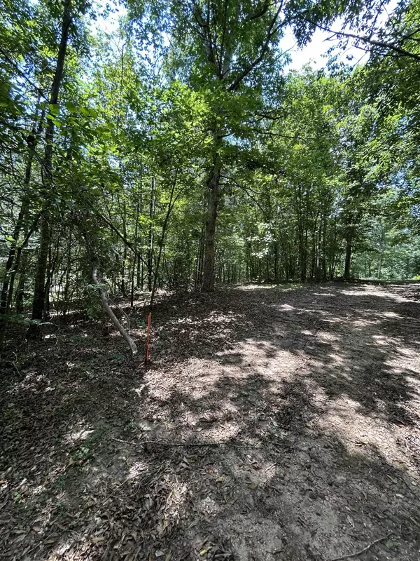 Chesnee, SC 29323,171 Henderson TRL