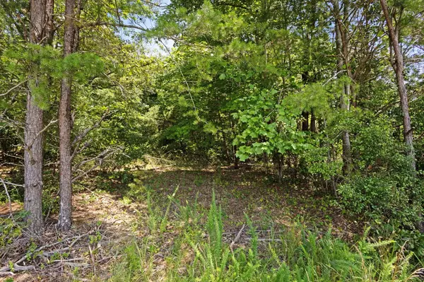 Travelers Rest, SC 29690,00 Shelton RD