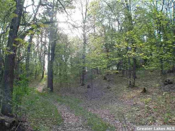 Lot 1 North Oak Street, Pequot Lakes, MN 56472