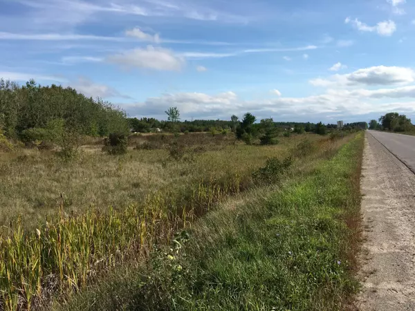 Cheboygan, MI 49721,Townline RD Road