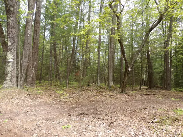 St. Helen, MI 48656,Lot 9 Club RD Road