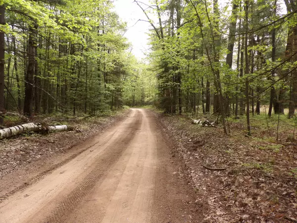 St. Helen, MI 48656,Lot 9 Club RD Road