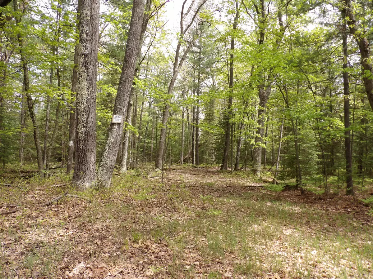 St. Helen, MI 48656,Lot 10 Club RD Road