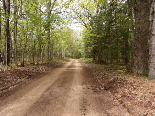 St. Helen, MI 48656,Lot 10 Club RD Road