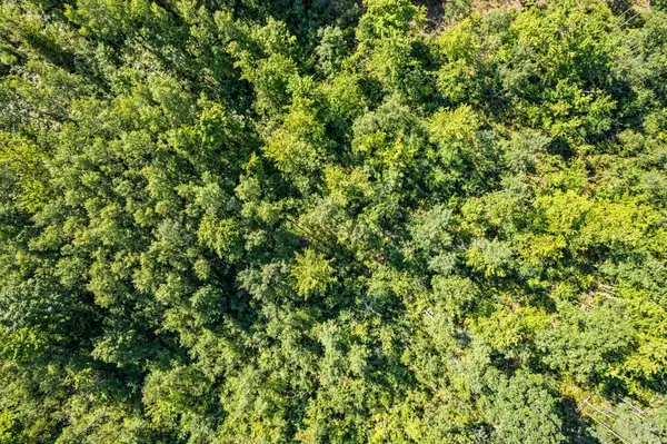 South Boardman, MI 49680,6585 Wildwood Trail SW