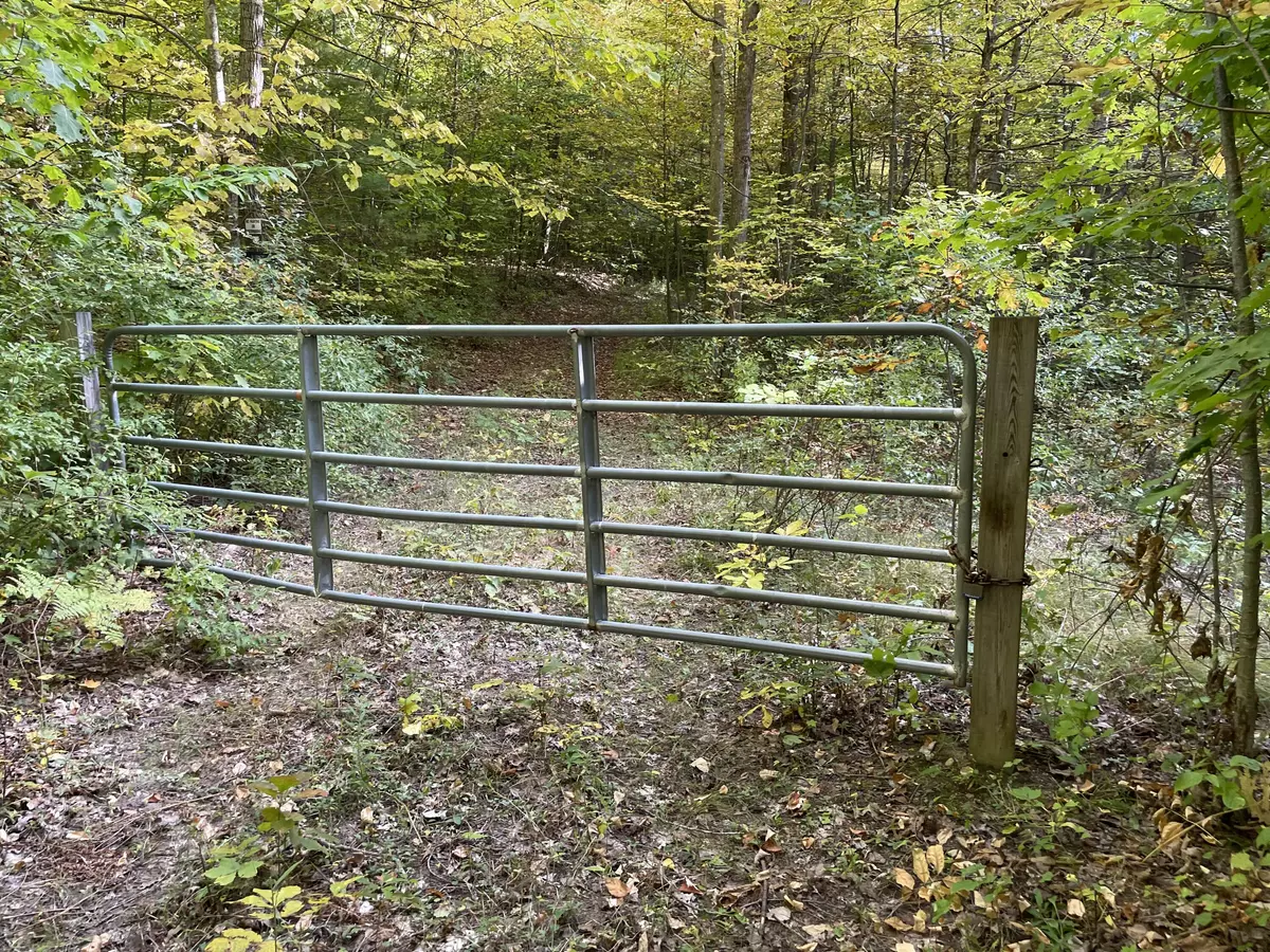 Lupton, MI 48635,Alcan RD Road