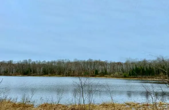 Johannesburg, MI 49751,00 Chippewa TRL Trail