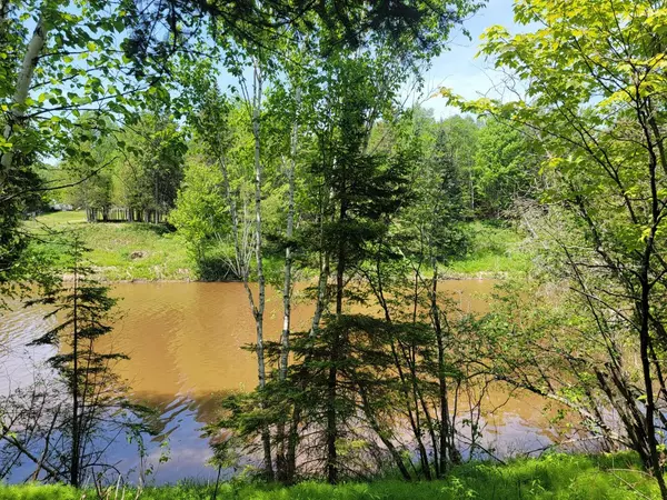 5408 N Pine River RD Road, Hessel, MI 49745