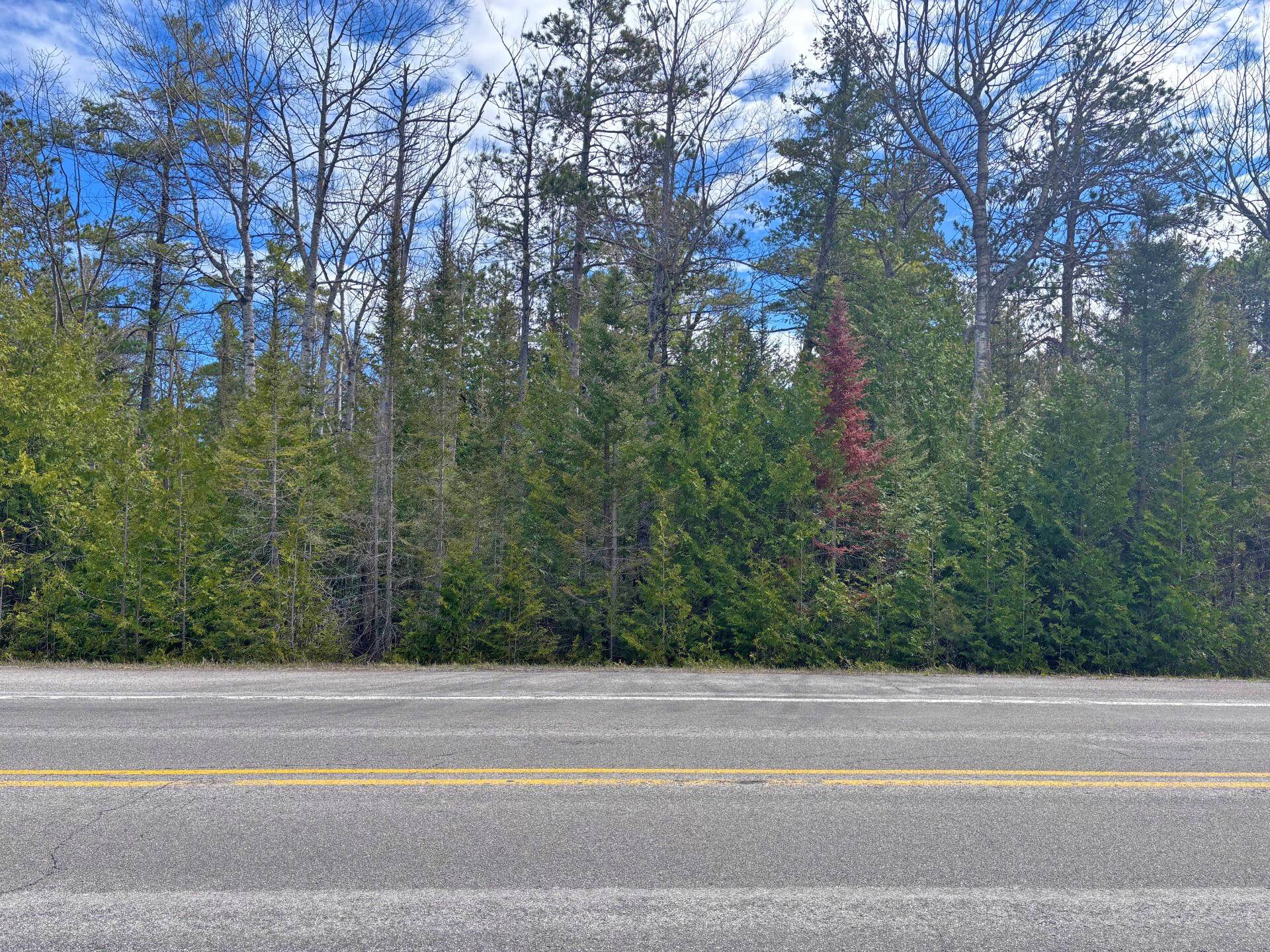 Presque Isle, MI 49777,E Grand Lake RD Road