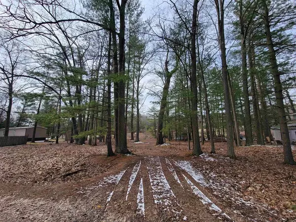 Beaverton, MI 48612,VL Maple Point RD Road