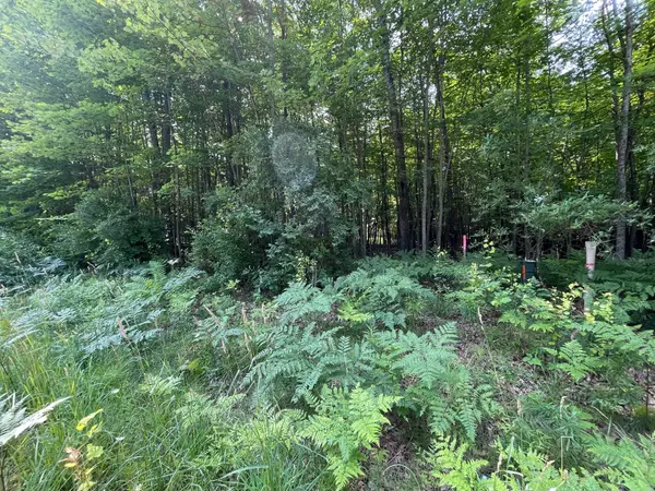 Houghton Lake, MI 48629,75 Hidden Hills RD Road